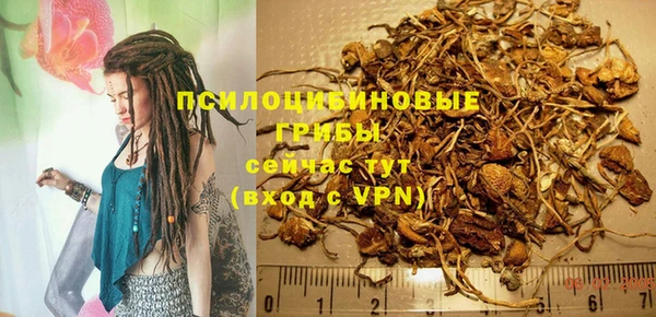mdpv Белокуриха